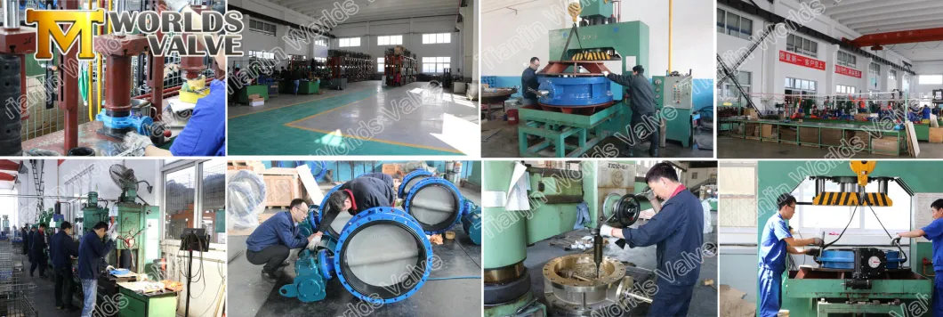 Soft Rubber FKM Seat Pressure Reducing Manual Butterfly Valves ABS Rina Dnv Lr Lloyd′s Register Approved Industrial Control Check Valves From Worlds Valve